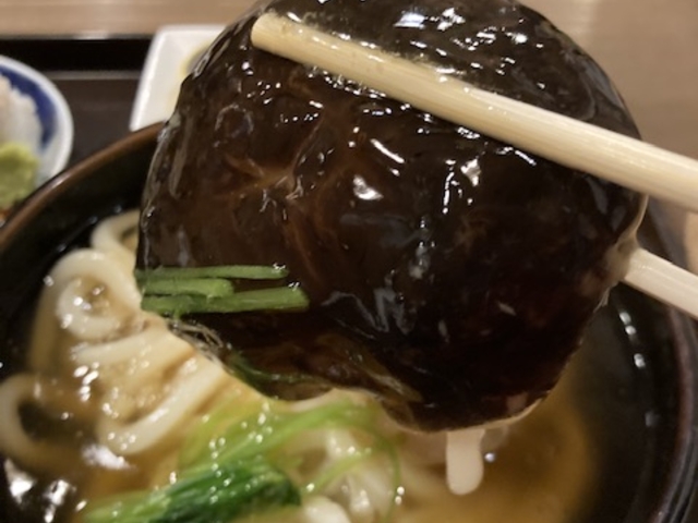こんなに大きな椎茸_茂美志”や