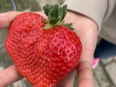 じゅんさんのうるう農園への投稿写真1