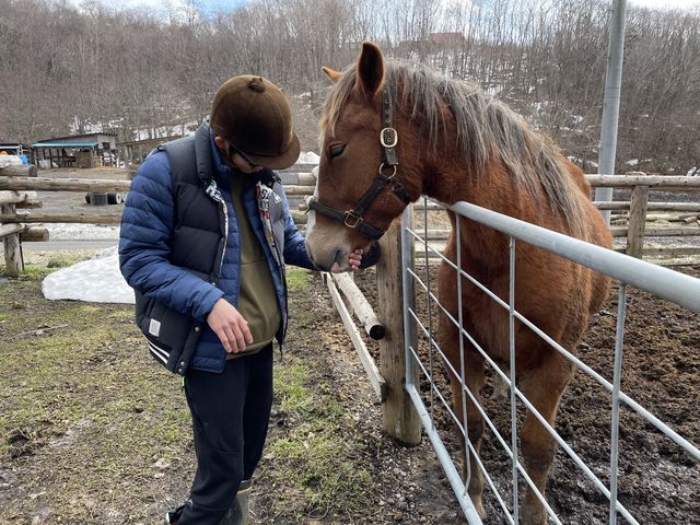 優しい馬_函館どさんこファーム