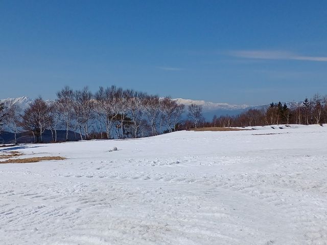 60代のスノーボードおじさんさんの菅平高原、ダボスの丘(ダボスの塔付近)の投稿写真5