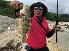 サンちゃんさんのDSF石垣島への投稿写真1