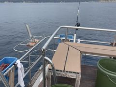 カスさんのWith‐Oceanへの投稿写真1