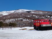 60代のスノーボードおじさんさんの菅平高原、ダボスの丘(ダボスの塔付近)の投稿写真3