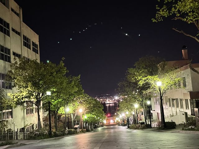 八幡坂_函館観光タクシーFiveSTARCLUB