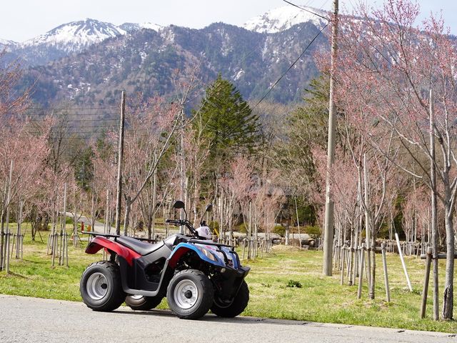 ひらゆさくらと、バギー_ナガセスッポン養殖場 オクヒダバギー
