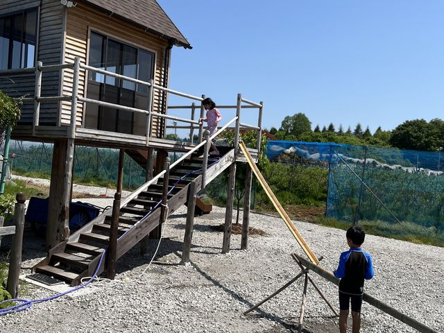 ツリーハウスから流しそうめんをしました!子どもが大喜びでした!_ブルーベリーファームほりうち