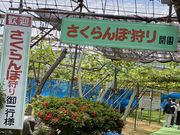 よーりんさんの元祖 天童観光果樹園の投稿写真1