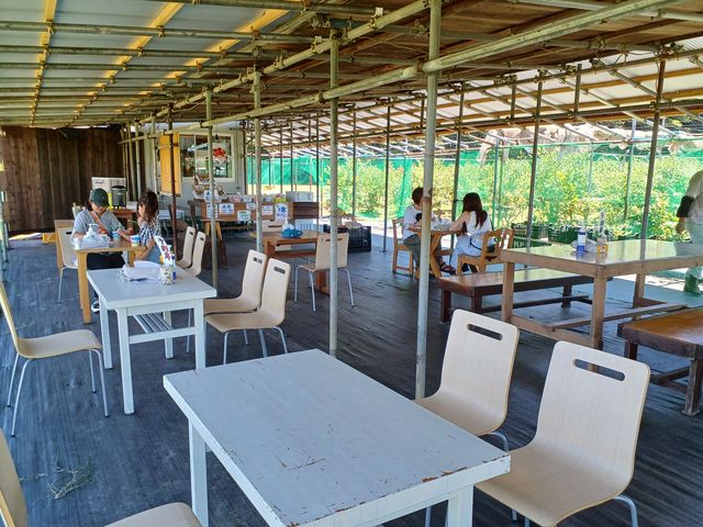 予約席、屋根があり、快適です。_安原ブルーベリー園
