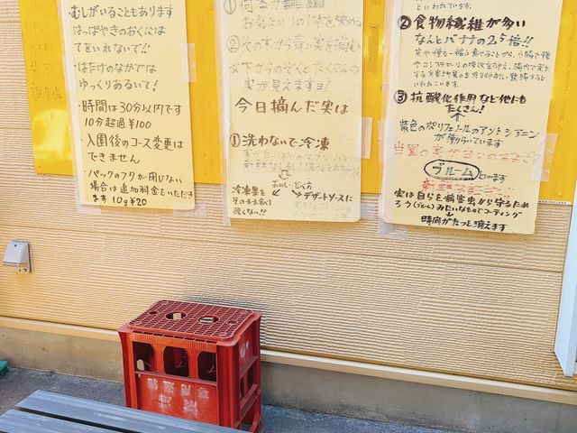 ブルーベリー狩りについての掲示_よこはまあさひブルーベリーの森