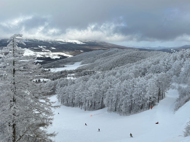 素晴らしい景色_信州菅平高原パインビークスキー場