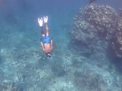 薬剤師さんのSaltwater social clubへの投稿写真1