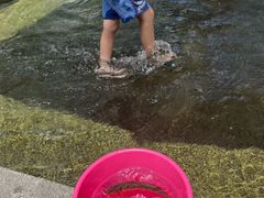 竜ヶ岩洞あゆ狩り園の写真1