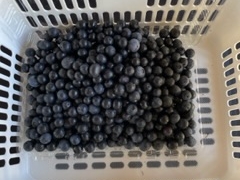 Blueberry Farm Suzukiの写真2