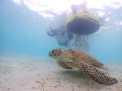 セリカさんのOkinawa tripsへの投稿写真1