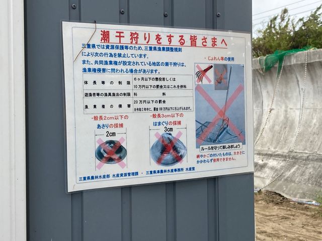 御殿場海岸(体験観光)_御殿場海岸(体験観光)