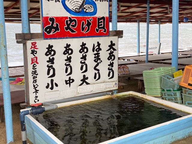 御殿場海岸(体験観光)_御殿場海岸(体験観光)