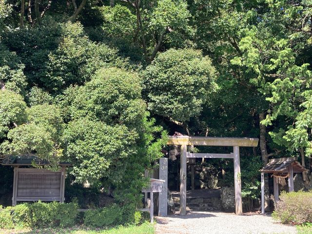 松下社の大クス_松下社の大クス
