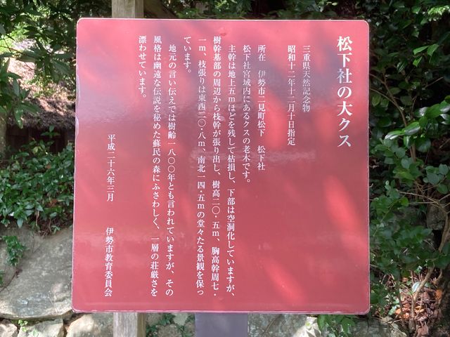 松下社の大クス_松下社の大クス