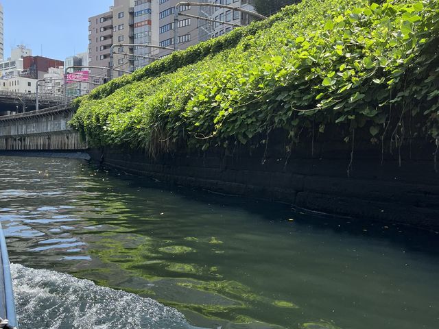 御茶ノ水駅近く_下町探検クルーズ ガレオン