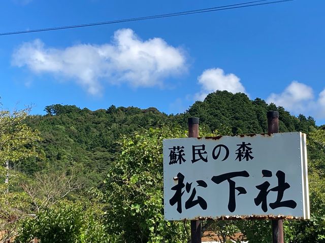 松下社の大クス_松下社の大クス