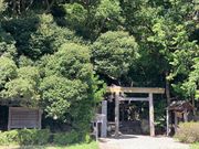 ウッキーさんの松下社の大クスの投稿写真1
