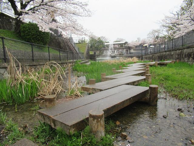 琵琶湖疎水が合流する近く_インクライン