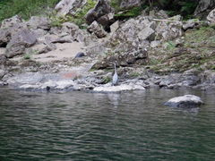 きらきらラフティングの写真1