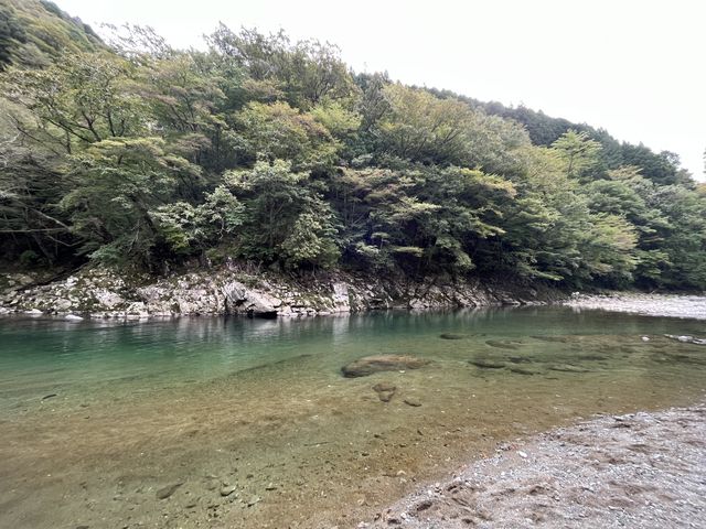 とっても綺麗な川!_elephant tree