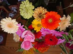 かわさき花園の写真1