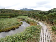 マイBOOさんの羅臼湖の投稿写真1