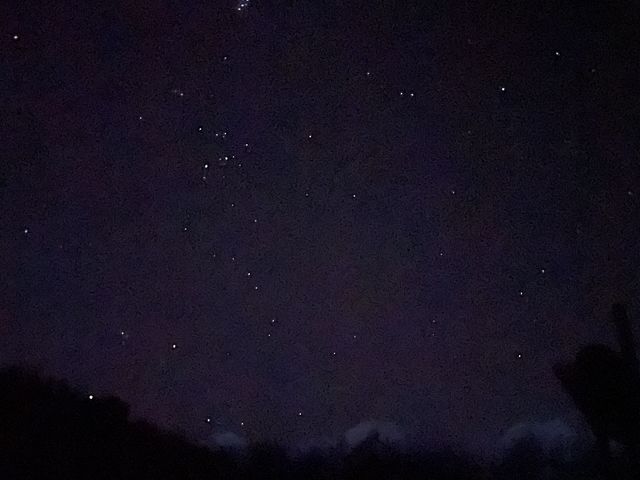 満天の星空_ピッキオ 知床