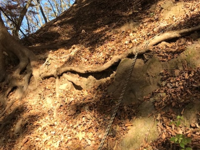 ああああさんの伊豆ケ岳の投稿写真6