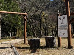 2さいくるぼーいさんの空中の村への投稿写真1