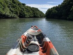 ひめちゃんさんの川平マリンサービスへの投稿写真1