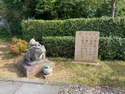 シトラさんの観自在寺の投稿写真1