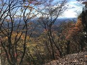 ああああさんの伊豆ケ岳の投稿写真3