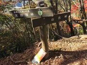 ああああさんの伊豆ケ岳の投稿写真5