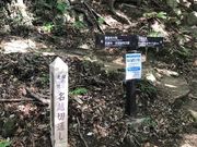 ああああさんの名越切通の投稿写真3