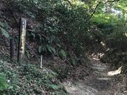 ああああさんの名越切通の投稿写真4
