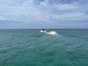 あいぶーさんの新原海底観光センターの投稿写真1