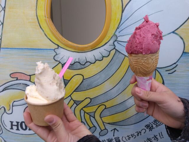 カップもコーンもあります。美味しいですが、お値段的にはちょっと高い目かな。_ロイヤルメリー