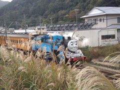 たれれったさんの大井川鐵道 SL列車への投稿写真1