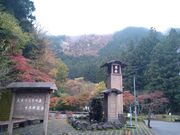 たれれったさんの川根本町の紅葉(静岡県)の投稿写真1