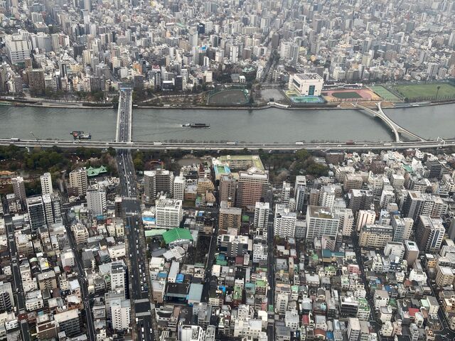 ウッキーさんの隅田公園の投稿写真1