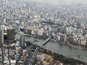 ウッキーさんの隅田公園の投稿写真1
