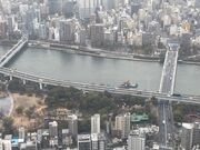 ウッキーさんの言問橋の投稿写真1