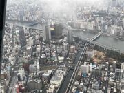 ウッキーさんの隅田公園の投稿写真1