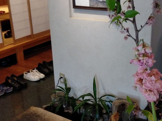 店内_天峰