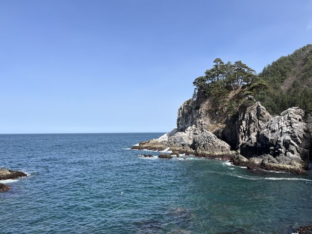 イワダイさんのネダリ浜自然歩道の投稿写真4