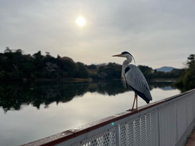 4人のかーちゃんさんの瀬板の森北九州ゴルフコースの投稿写真1